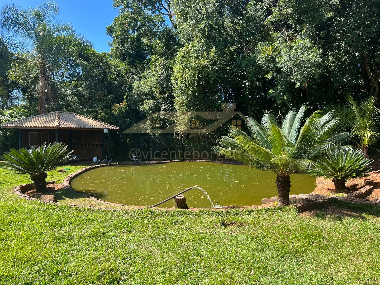 Foto 50